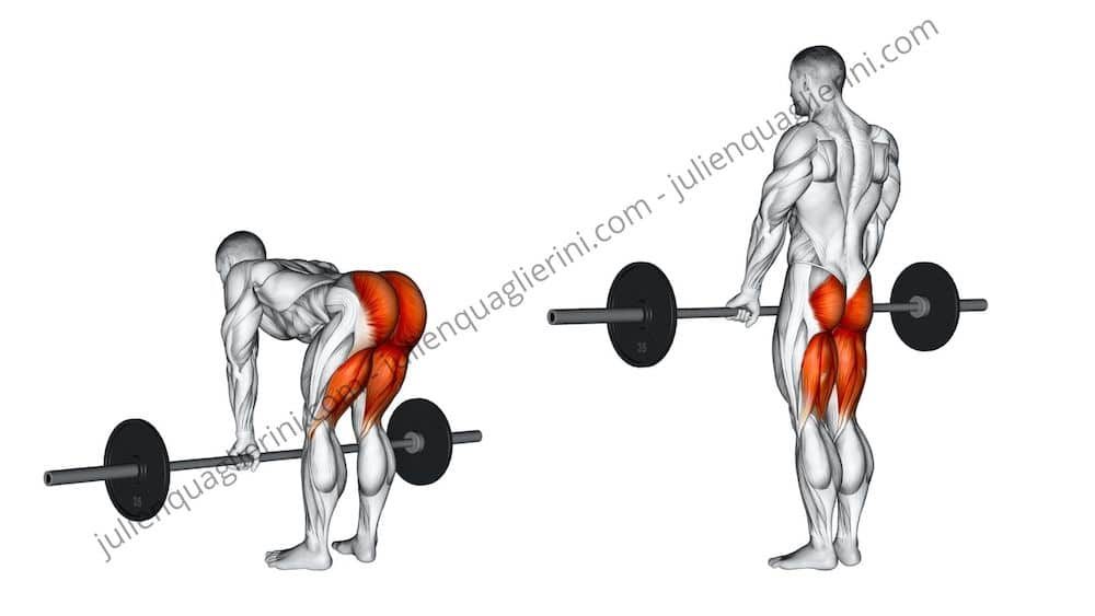 How to do the straight legged deadlift?